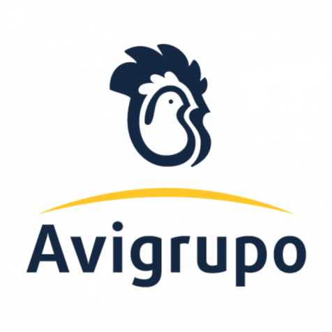 gallery/avigrupo